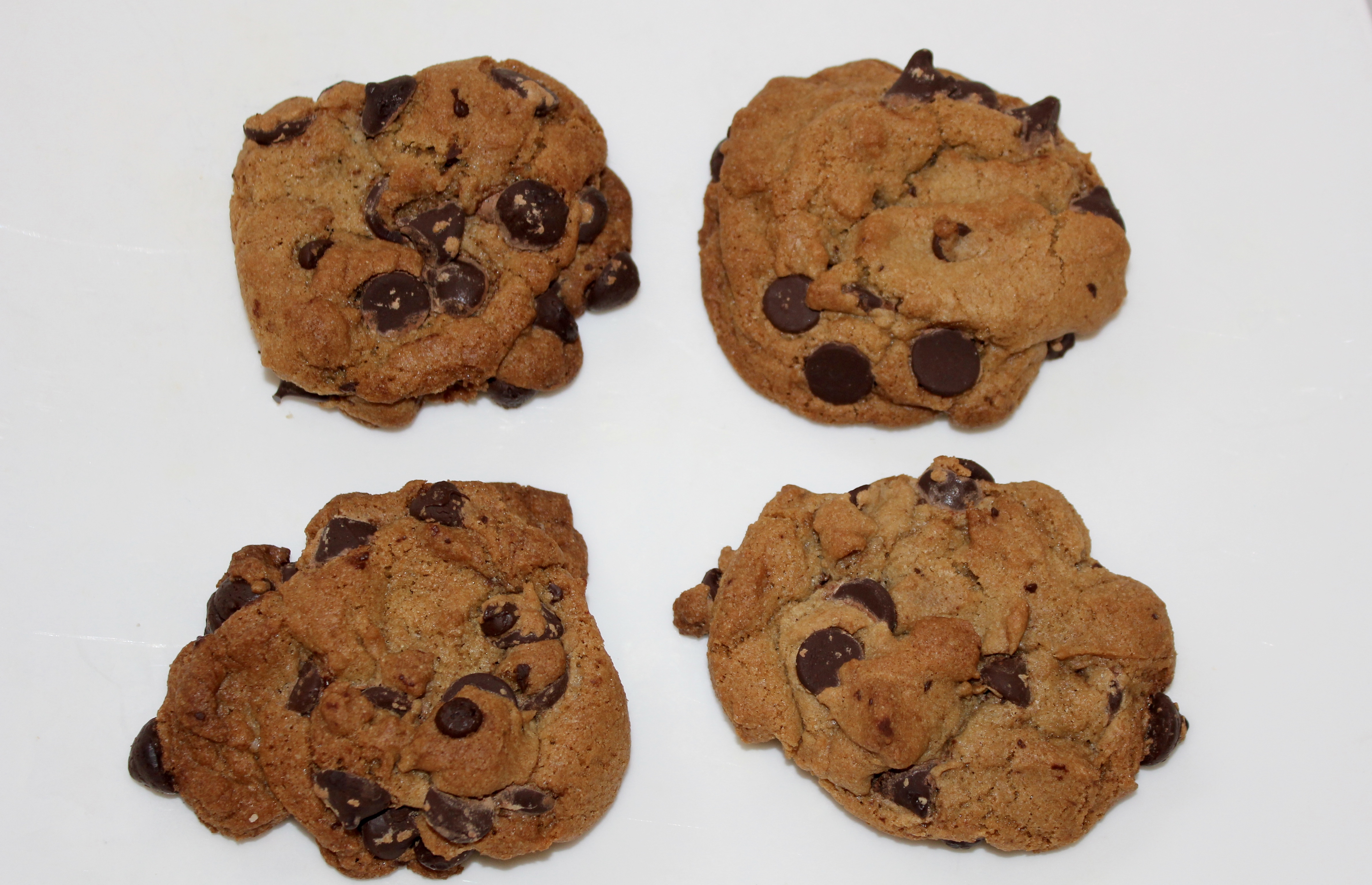 Alton Brown’s Chewy Chocolate Chip Cookie